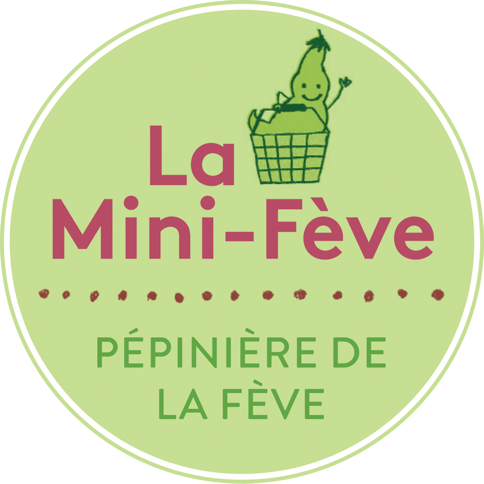 La mini-fève notre magasin